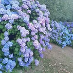 Alba Sul Ubytování v soukromí *