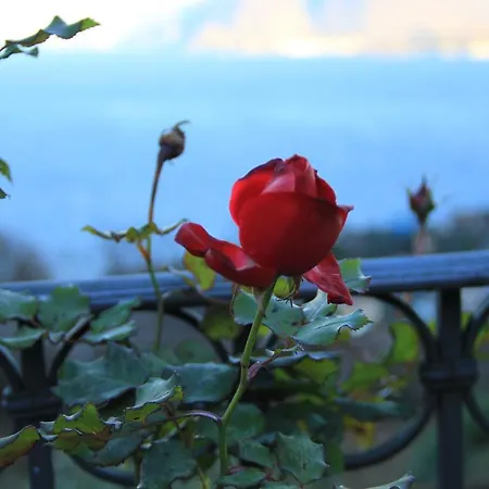 Alba Sul Habitación en casa particular