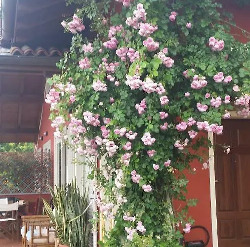 Alba Sul * 스트레사