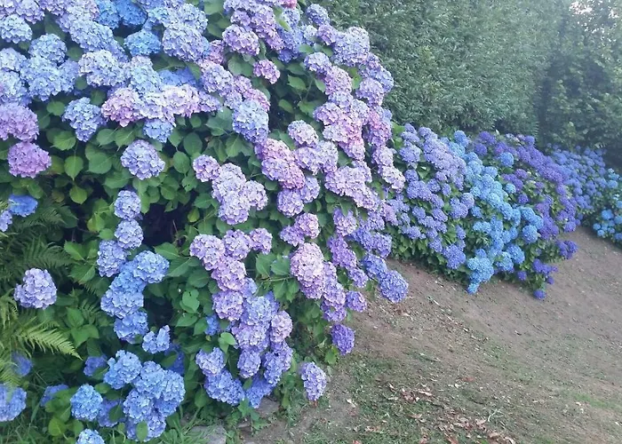 Alba Sul Alloggio in famiglia *